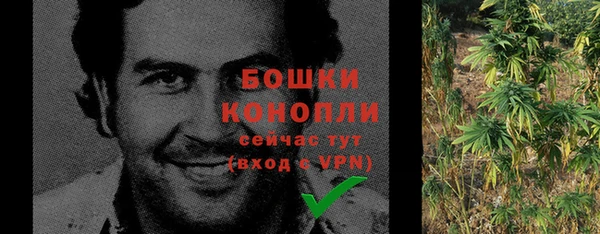 стаф Новодвинск