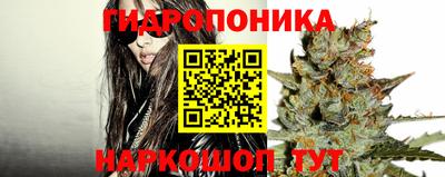 jwh Бийск