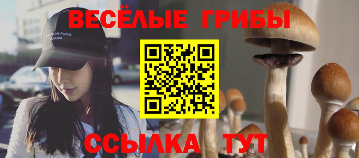 Галлюциногенные грибы MAGIC MUSHROOMS Майский